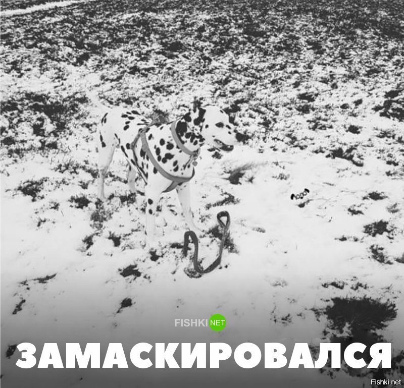 Маскировка 80-о уровня