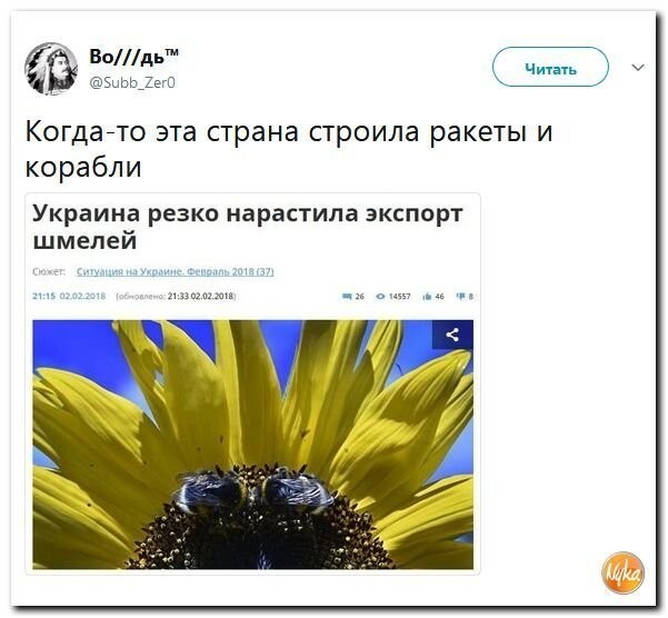Политические коментарии соцсетей - 387
