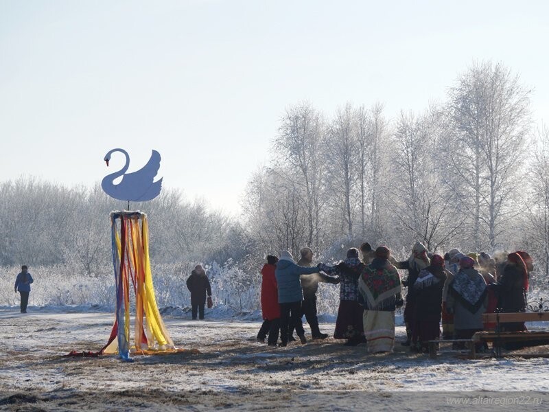 Заказник «Лебединый» на озере Светлом в Алтайском крае