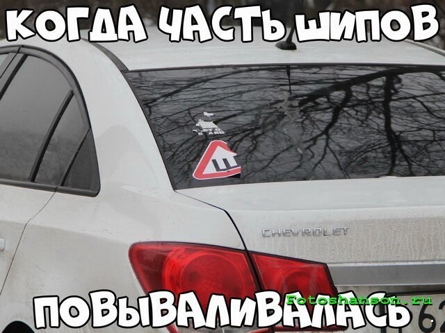 Автовсячина