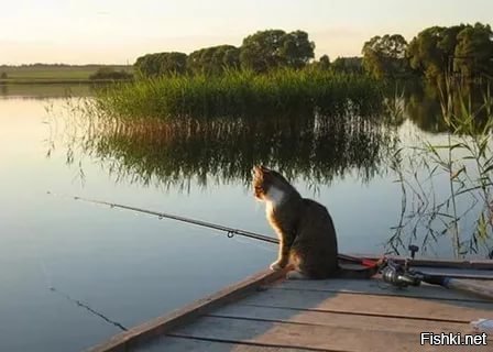 Ань, доброе утро пора на зарядку, хотя можно и на рыбалку
