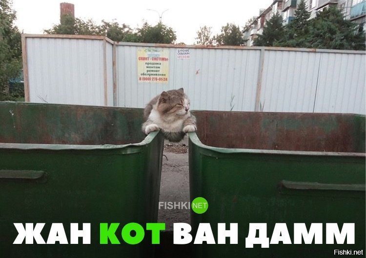 Жан кот ван дам