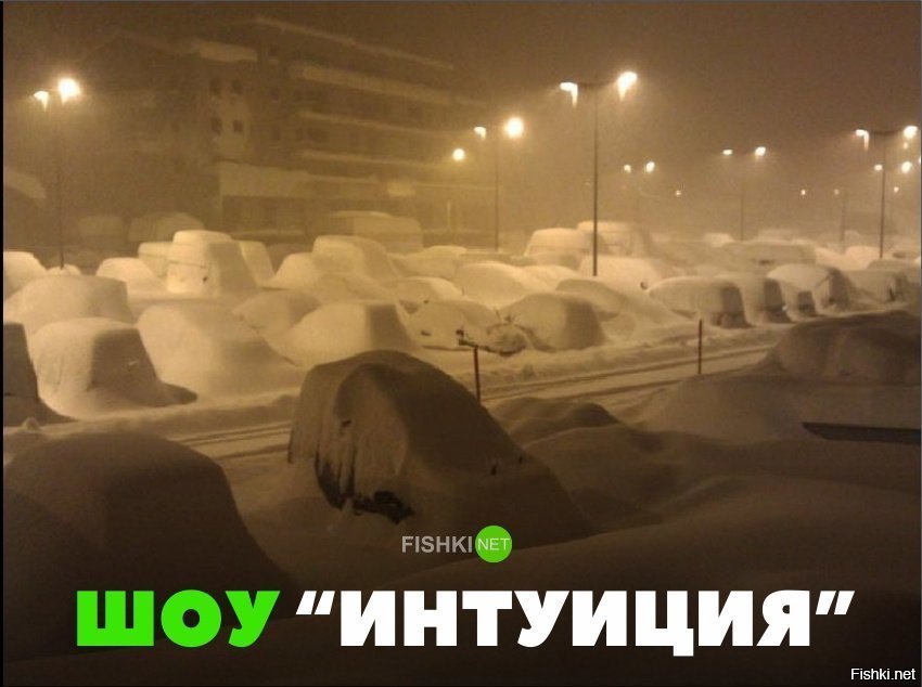 Шоу " Интуиция"