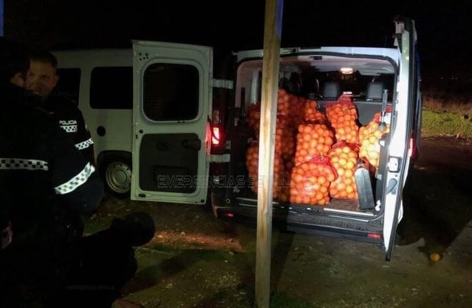 Испанские полицейские задержали апельсиновых воров
