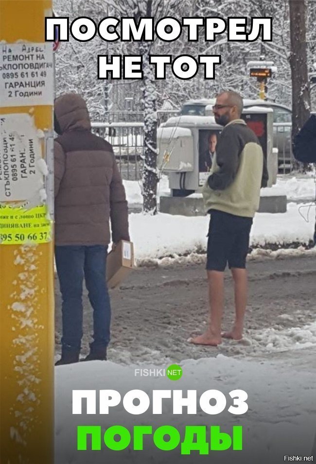 О погоде пальто верните картинка
