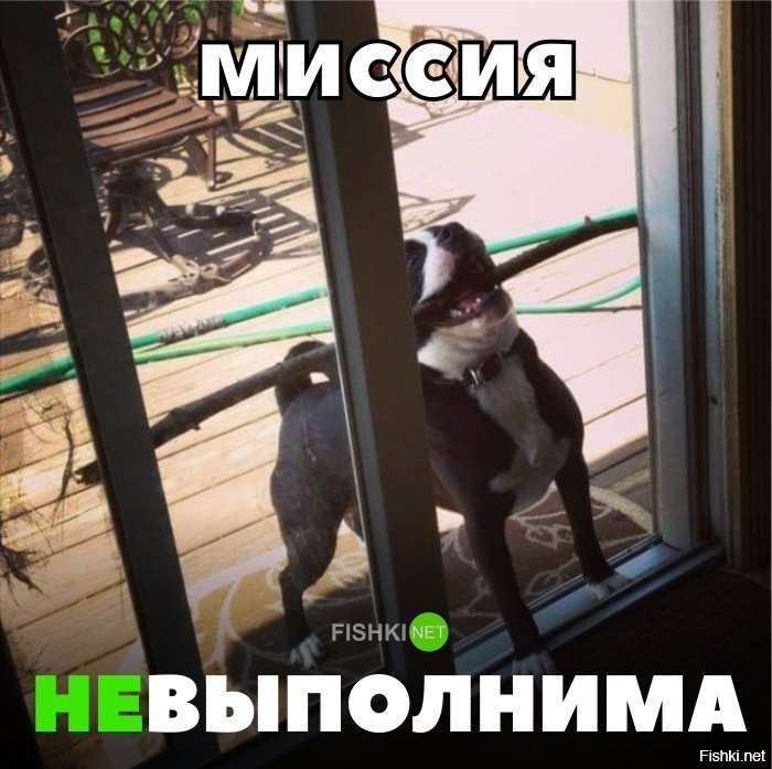Миссия невыполнима