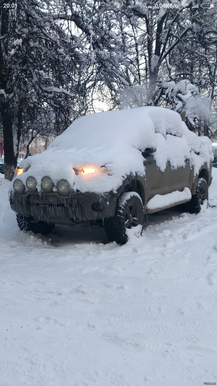 Во зверюга