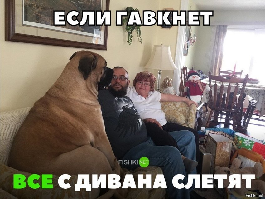 Маленький пёся