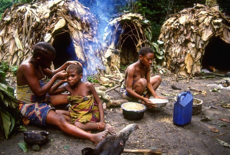 2. В Республике Конго живут пигмеи – самые низкорослые люди в мире