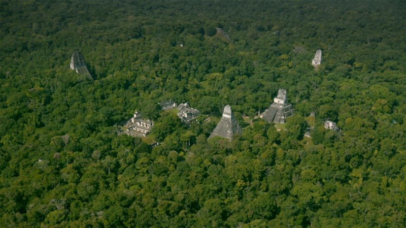Найдены 60 000 построек майя в джунглях Гватемалы