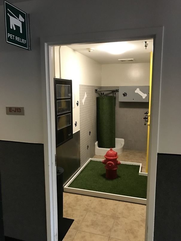 Туалет для собак в аэропорту