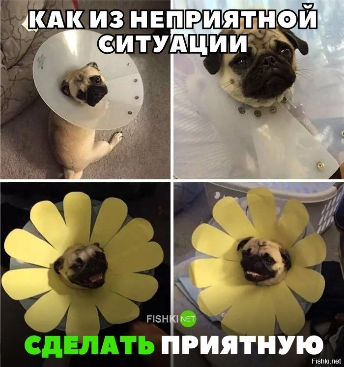 Мило