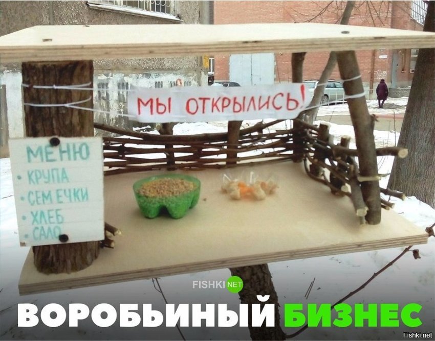 Воробьиный бизнес