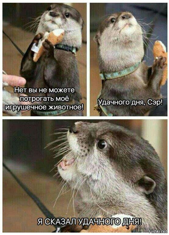 Когда не хочешь, чтобы трогали твои вещи