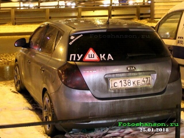 Автовсячина