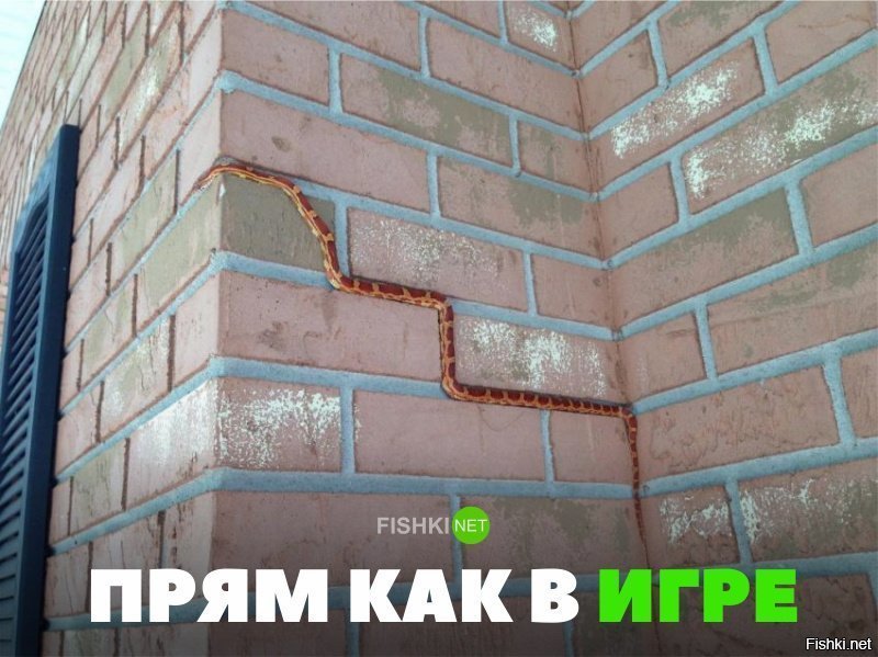Прям как в игре