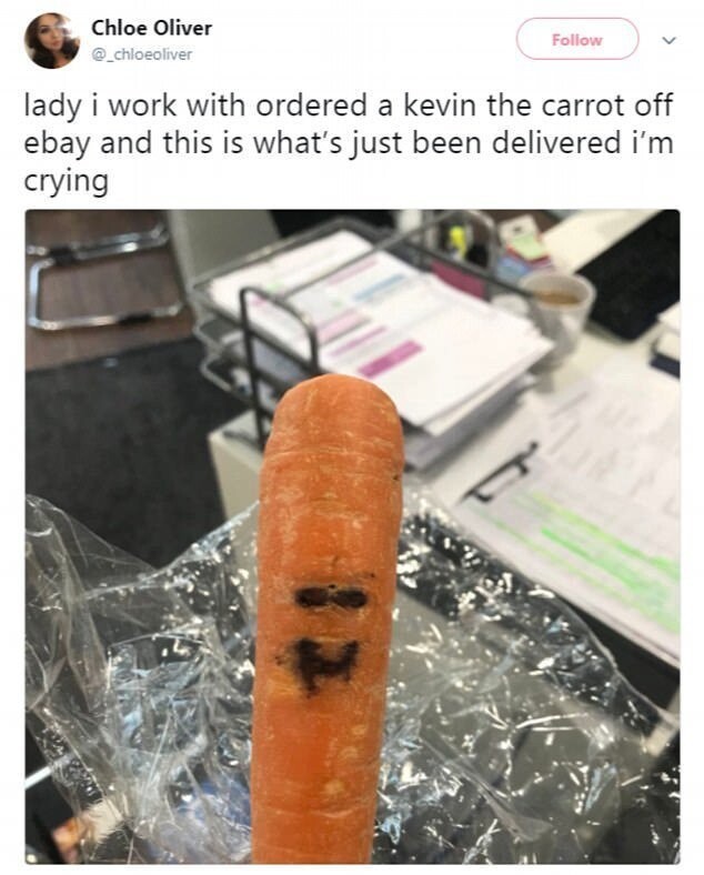 "Дама, с которой я работаю, заказала на eBay игрушку "Морковка Кевин", и вот что ей только что доставили..."