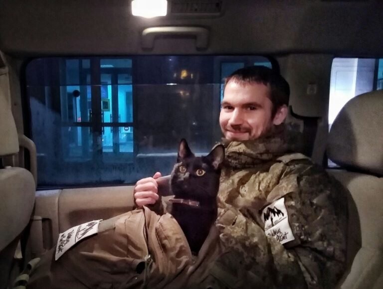 А кто ещё так может? Кот преодолел 10 тысяч километров автостопом от Мурманска до Владивостока!