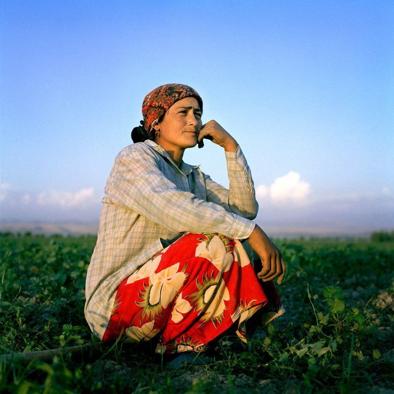 Основной труд, которым заняты женщины в поселках - аграрный