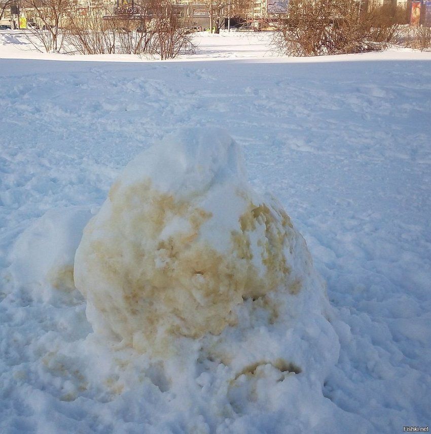 На собачьей поляне какой-то Anonimus попытался запостить снеговика