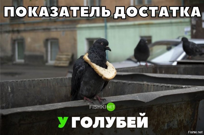 Показатель достатка у голубей