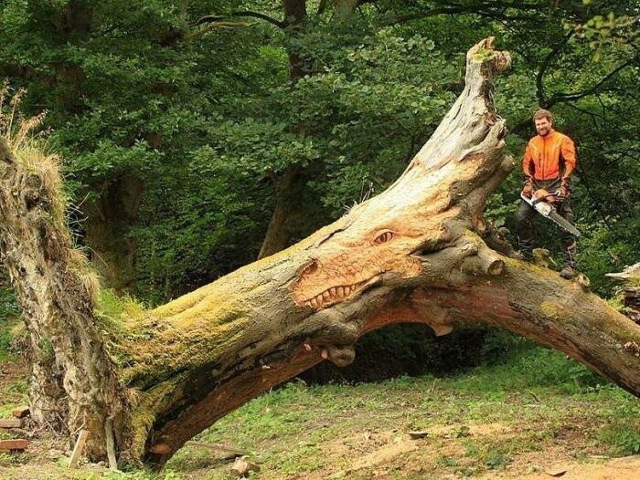 Великолепные поделки из дерева