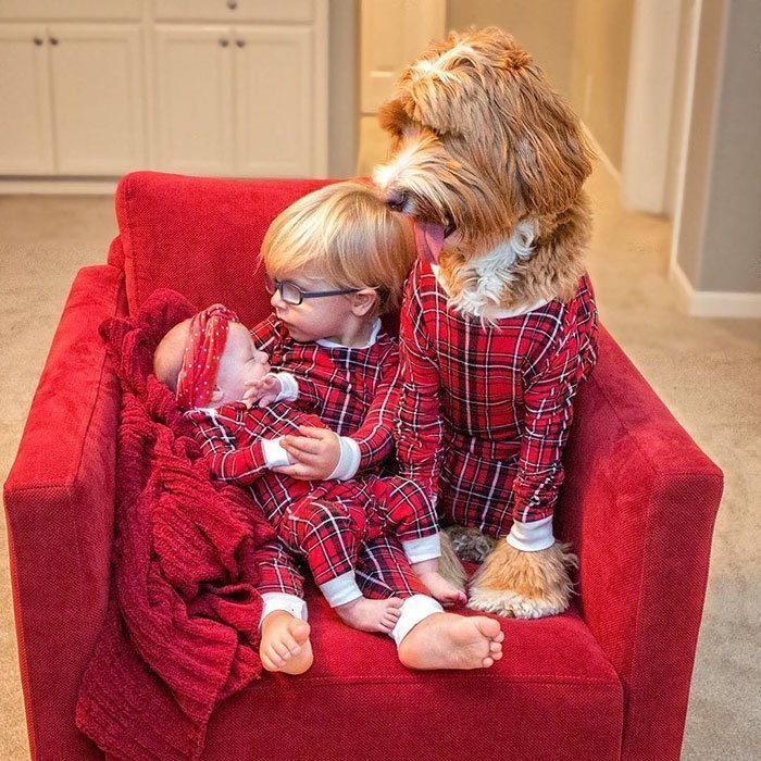 Трогательная дружба приёмного ребёнка и его собаки по кличке Рейган