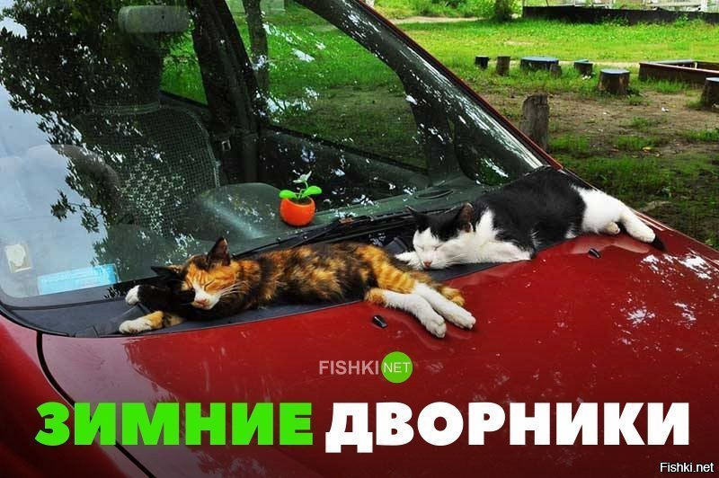 Зимние дворники