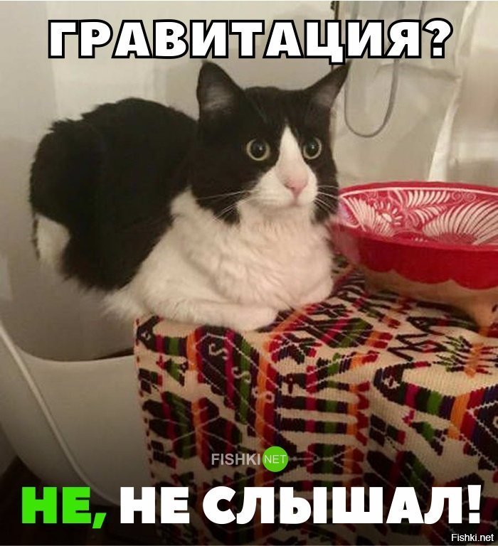Гравитация? Не, не слышал.