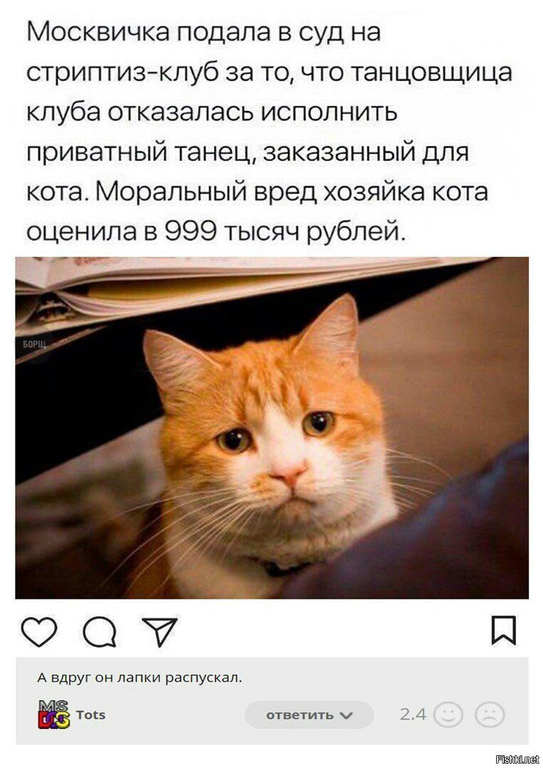 Лапки распускал