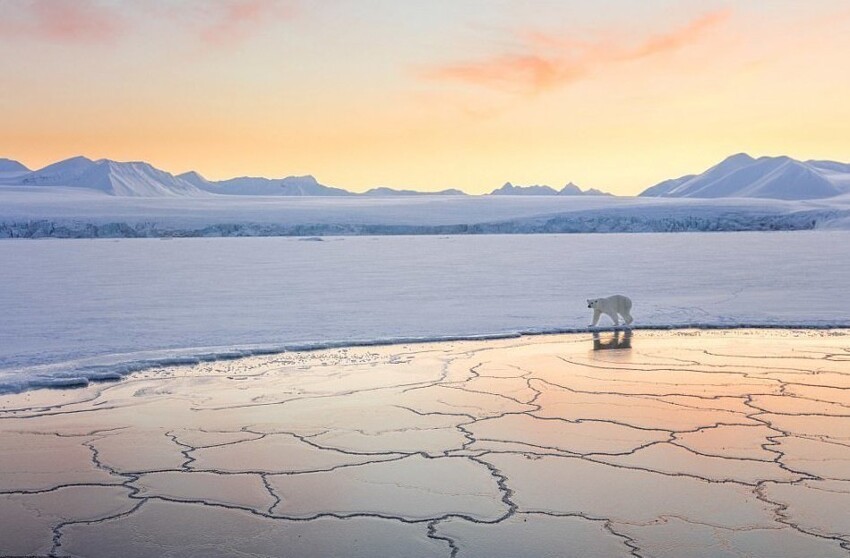 "Страна снега и льда" (фото: Джош Энон, США)