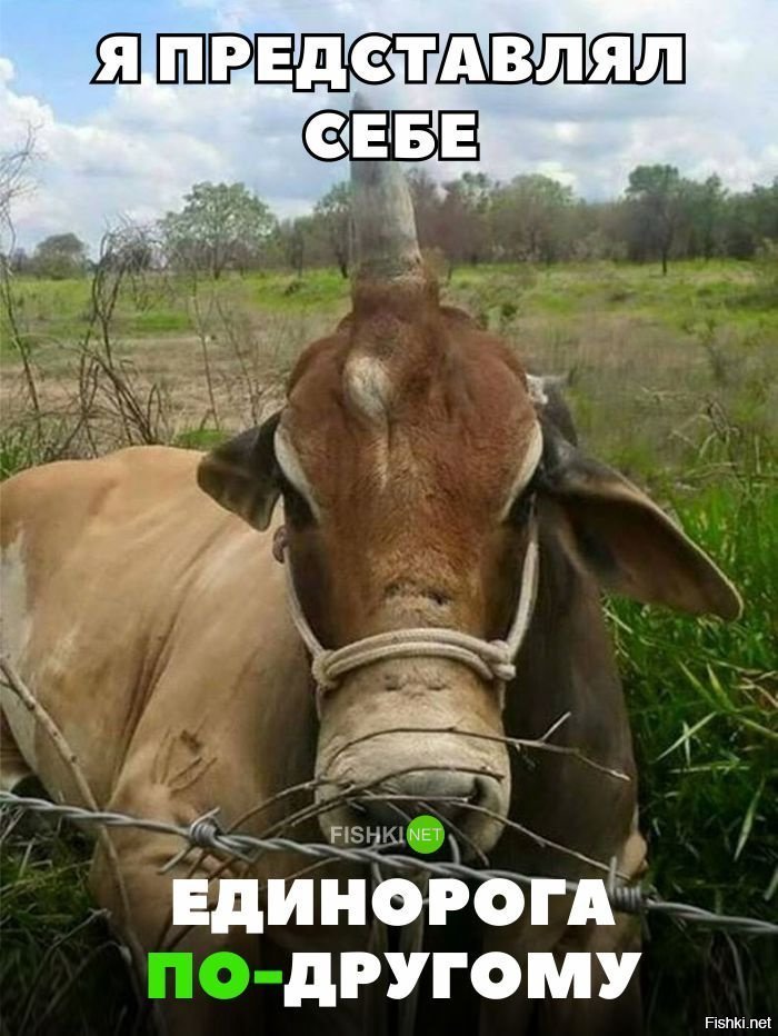 Я представлял единорогов иными