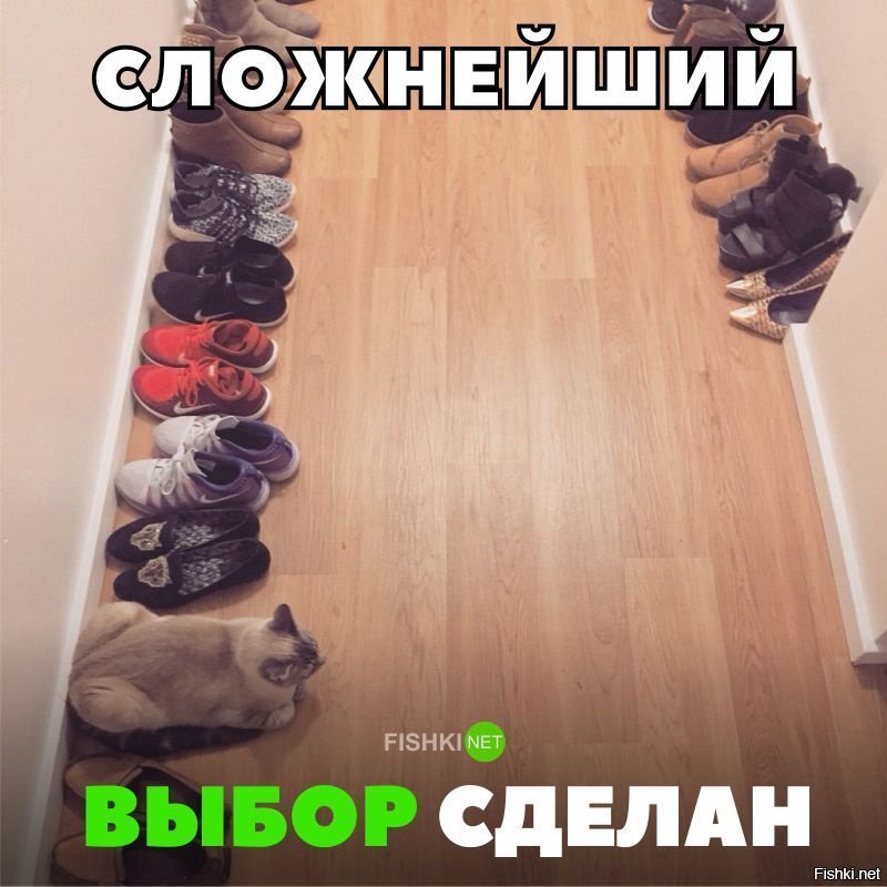 Сложнейший выбор сделан