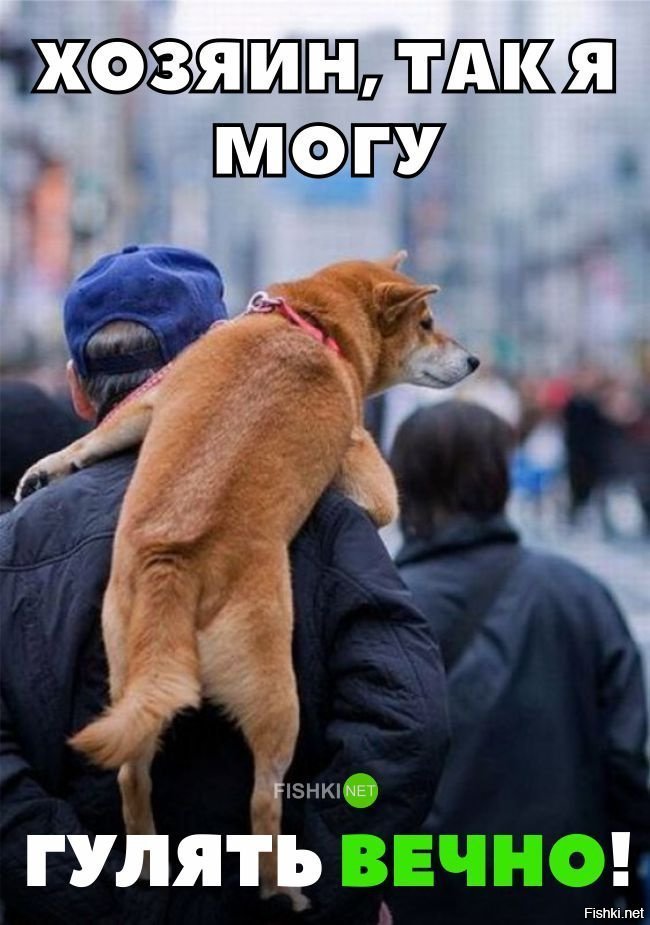 Так можно гулять намного дольше