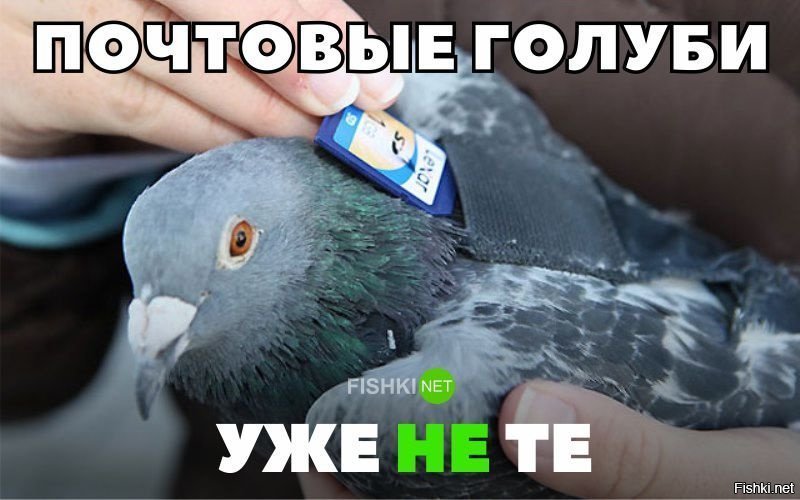Почтовые голуби уже не те