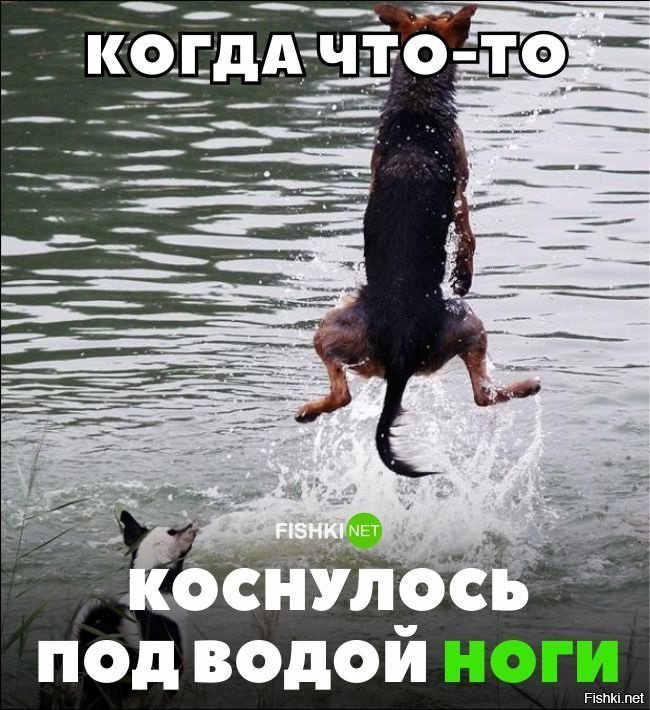 жизненно