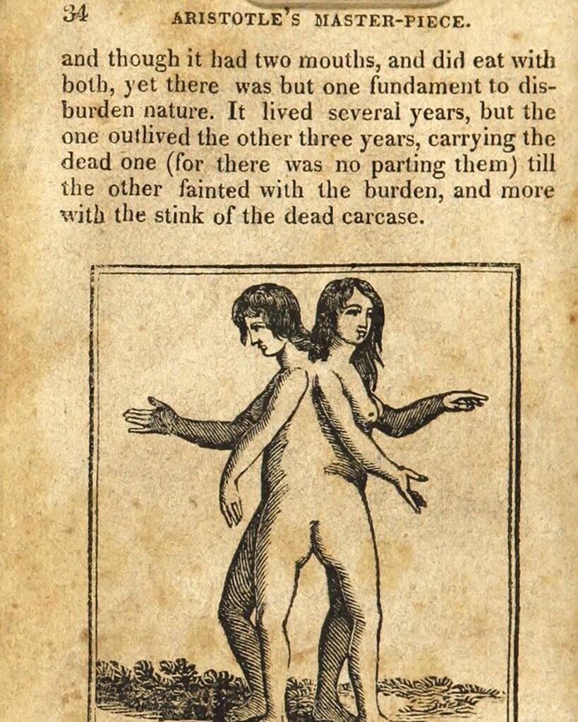 В сети опубликовано "руководство по сексу" XVII века
