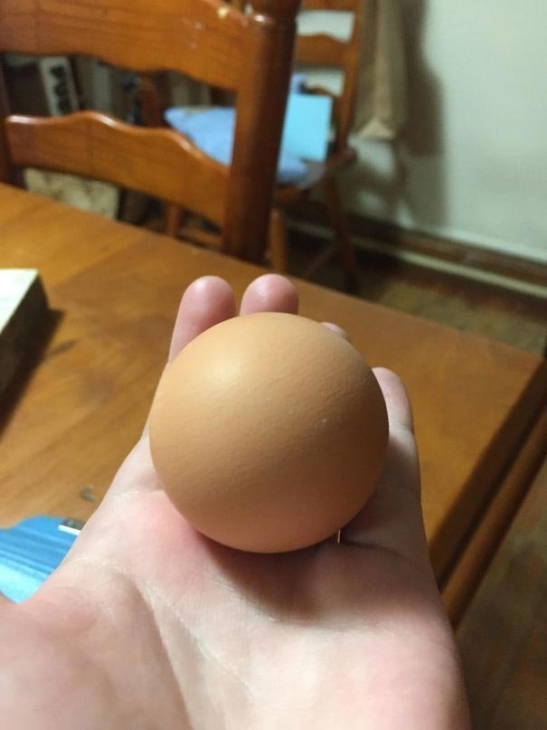 Идеально круглое яйцо