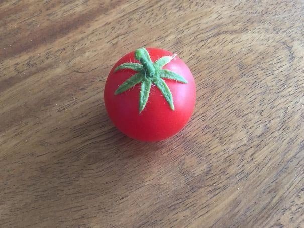 Идеальный помидор