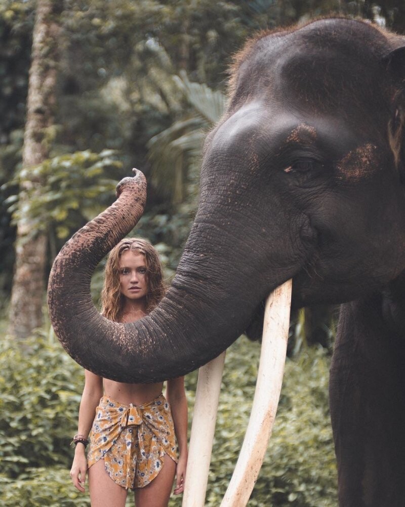 Девушка и слон