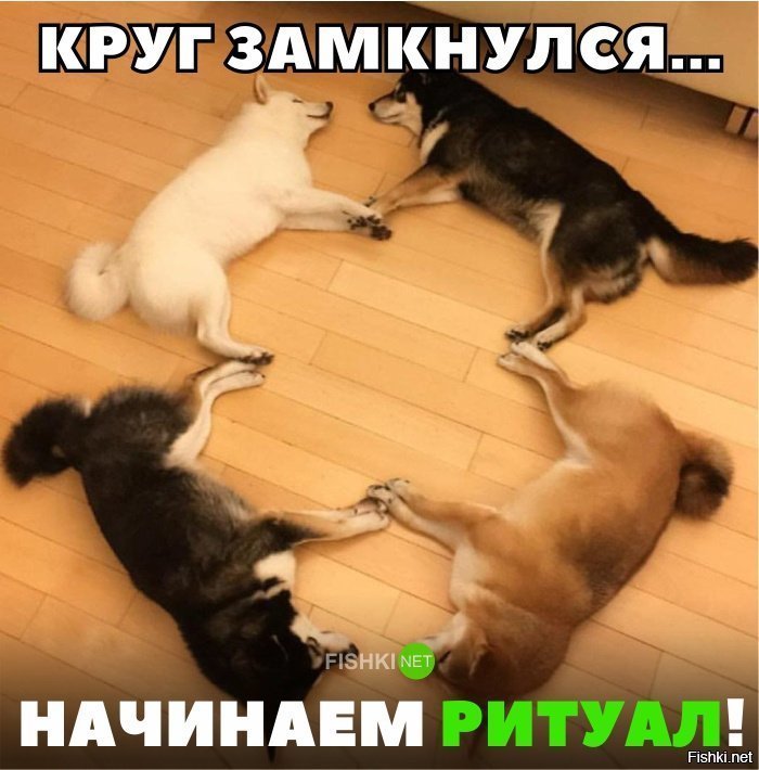 Начнём ритуал