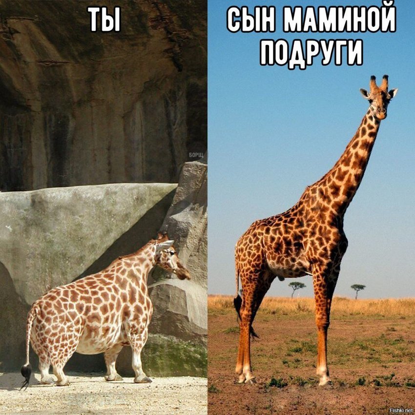 Жизненно