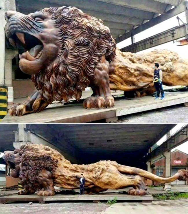 Гигантская скульптура льва вырезана из цельного красного дерева. Над его созданием трудились 20 человек в течение 3 лет