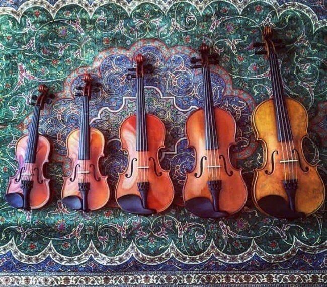 «Я учился играть на скрипке с 3 лет, и это все мои скрипки, которые я перерос»