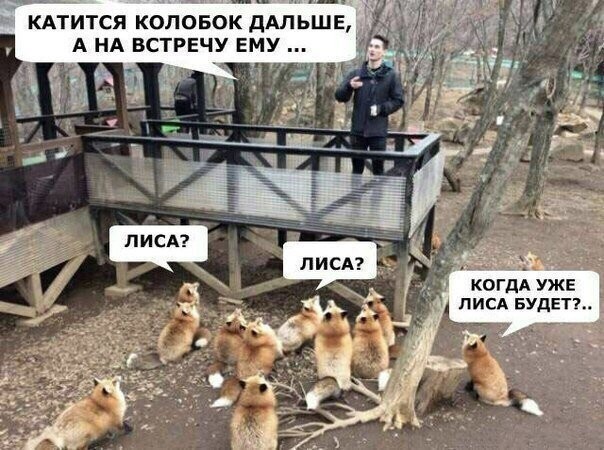 Смешные картинки с надписями