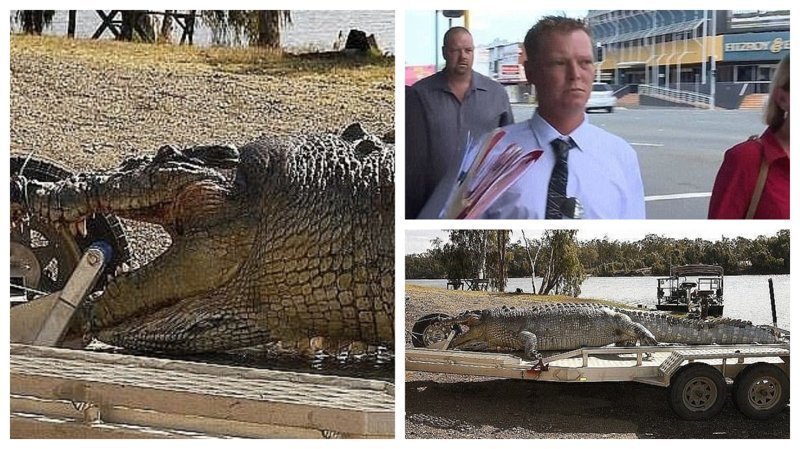 Убийцу 100-летнего крокодила оштрафовали на 10 000 долларов