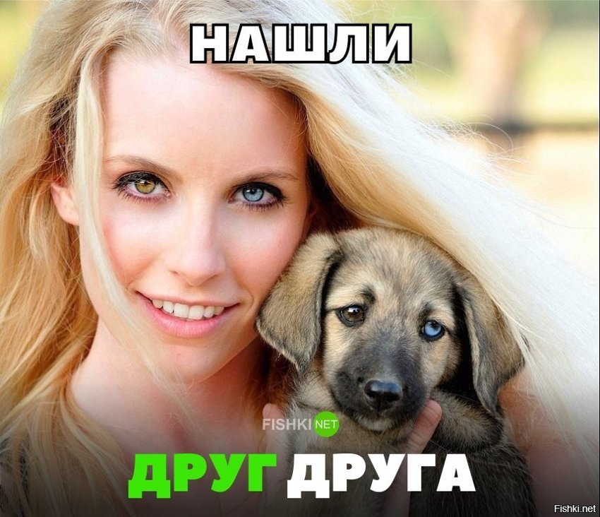 Нашли друг друга