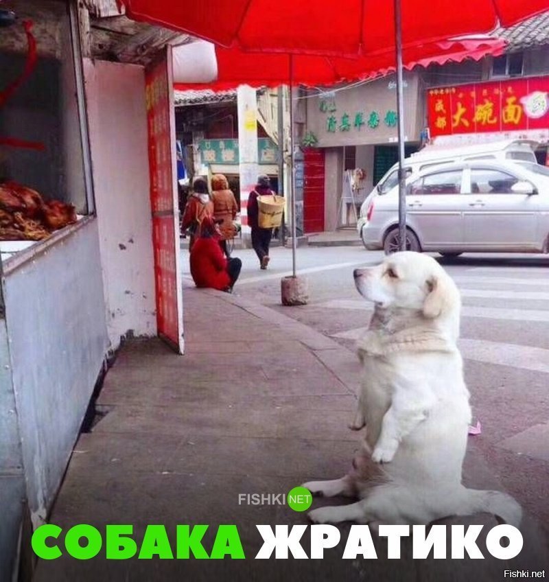 Жратико