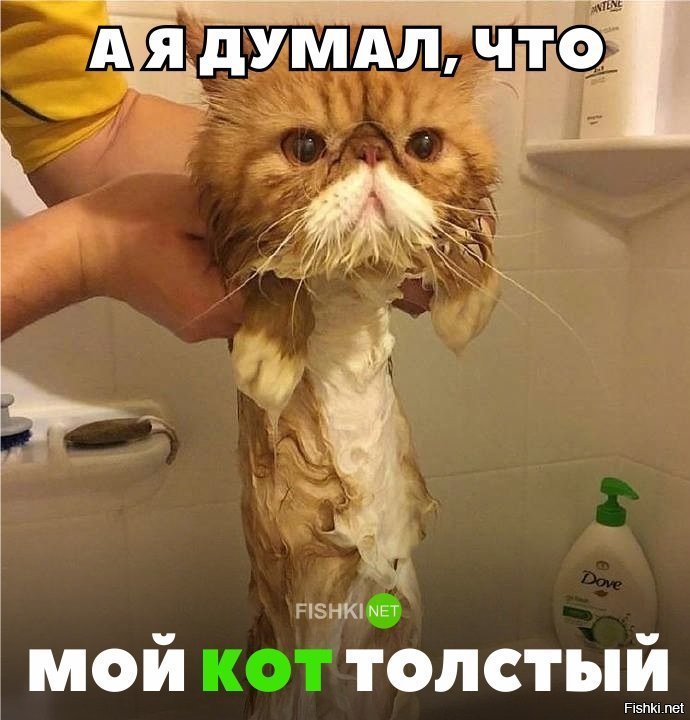 А казался толстым