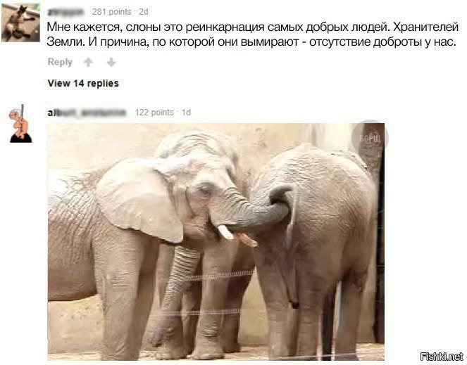 Очень добрые слоны